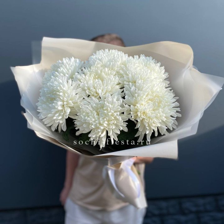 Профитроли в Великом Новгороде