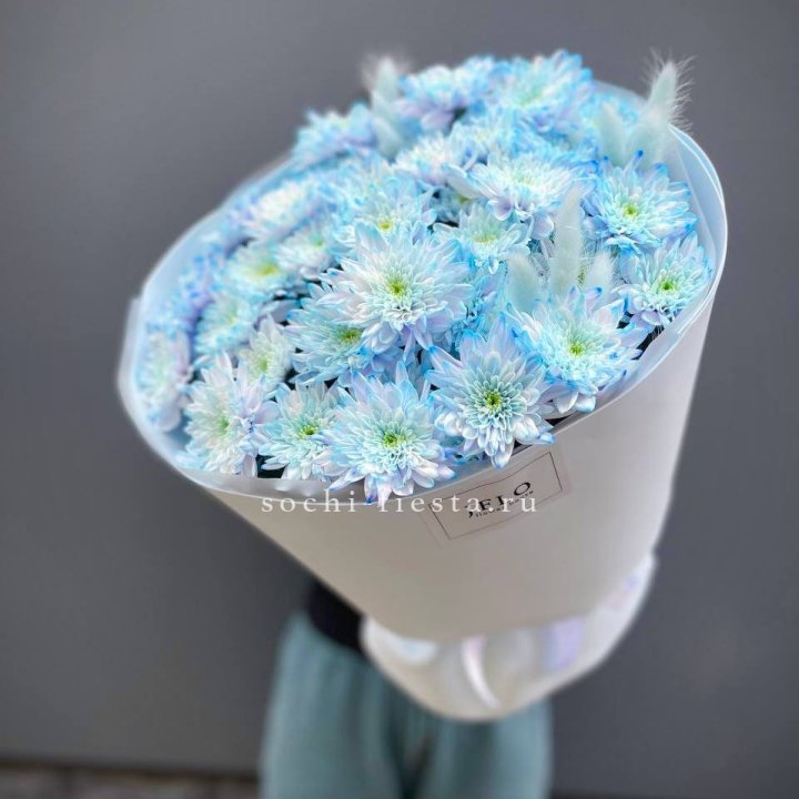  Букет нежно-голубых хризантем  в Великом Новгороде