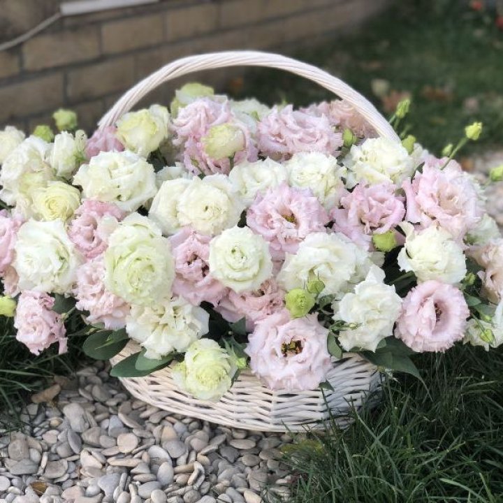 Корзина с эустомой в Великом Новгороде