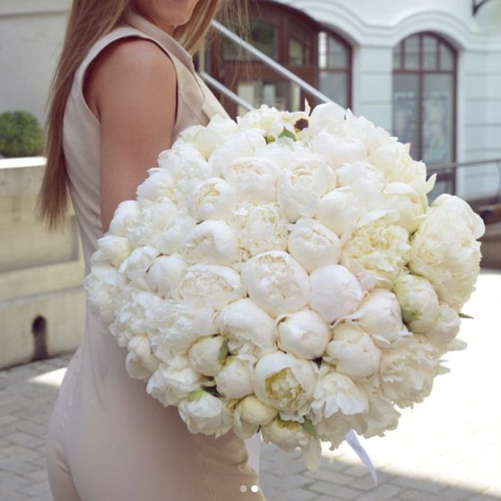 51 белый пион в Великом Новгороде