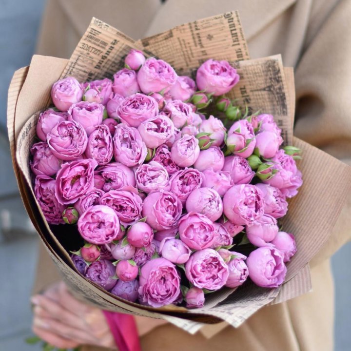 Роза Мисти Баблс в Великом Новгороде