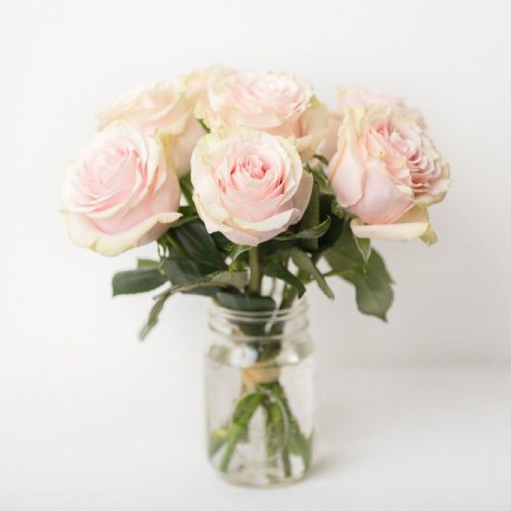 7 кремовых роз в Великом Новгороде