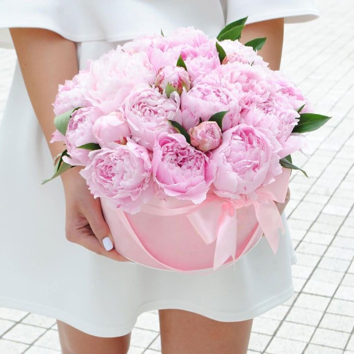 Пионы в шляпной коробке в Великом Новгороде