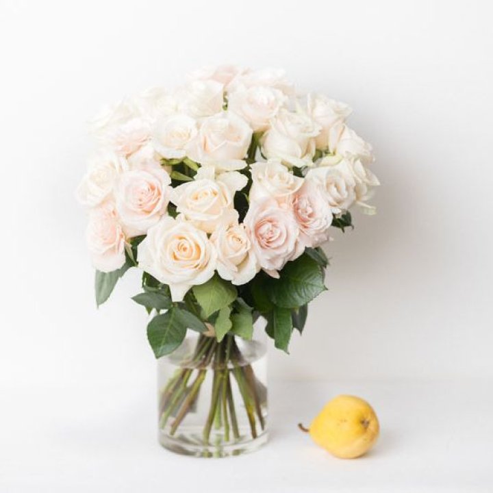 25 кремовых роз в Великом Новгороде