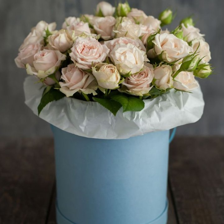 Бокс с бомбастиком в Великом Новгороде