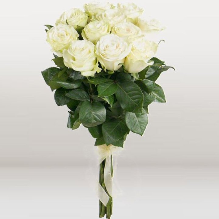 11 белых голландских роз в Великом Новгороде