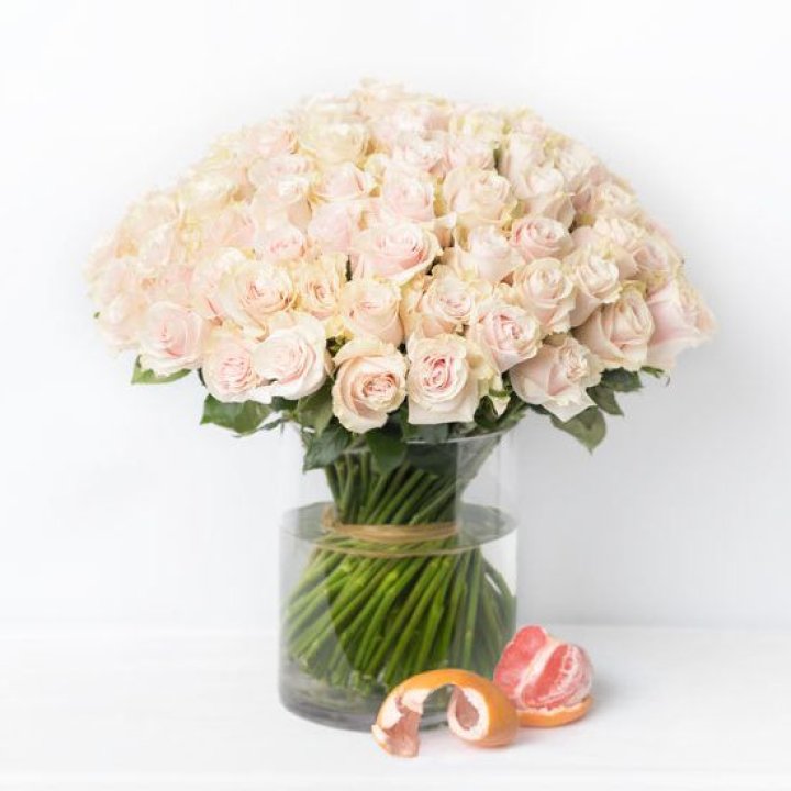 101 кремовая роза в Великом Новгороде