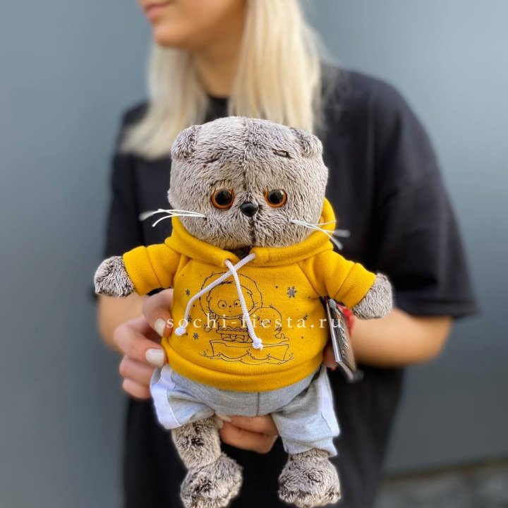 Кот Басик в худи в Великом Новгороде