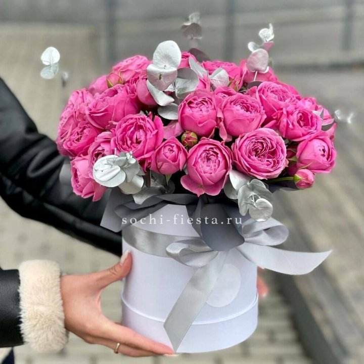 Бокс мисти баблс №2 в Великом Новгороде