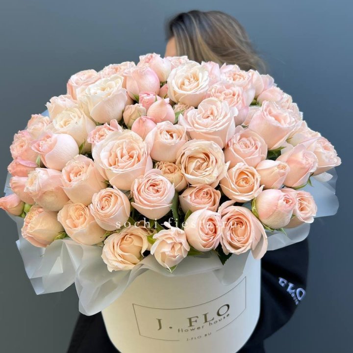 Бомбастик бокс Премьер в Великом Новгороде