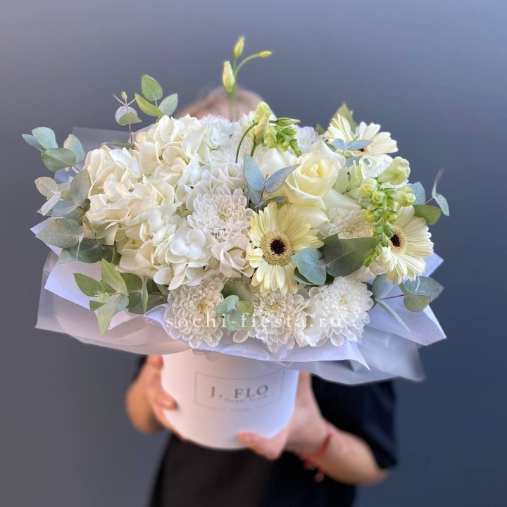  Коробочка  "Луна" в Великом Новгороде