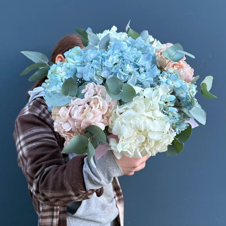 Гортензии в коробочке в Великом Новгороде