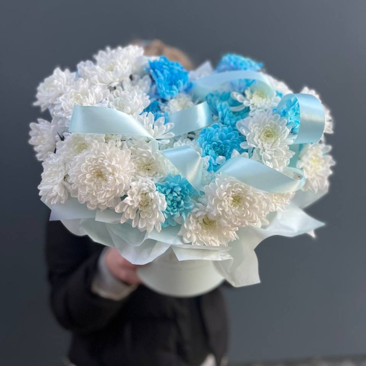 Хризнтемы в боксе в Великом Новгороде