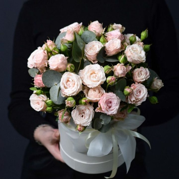 Бомбастик бокс №2 в Великом Новгороде