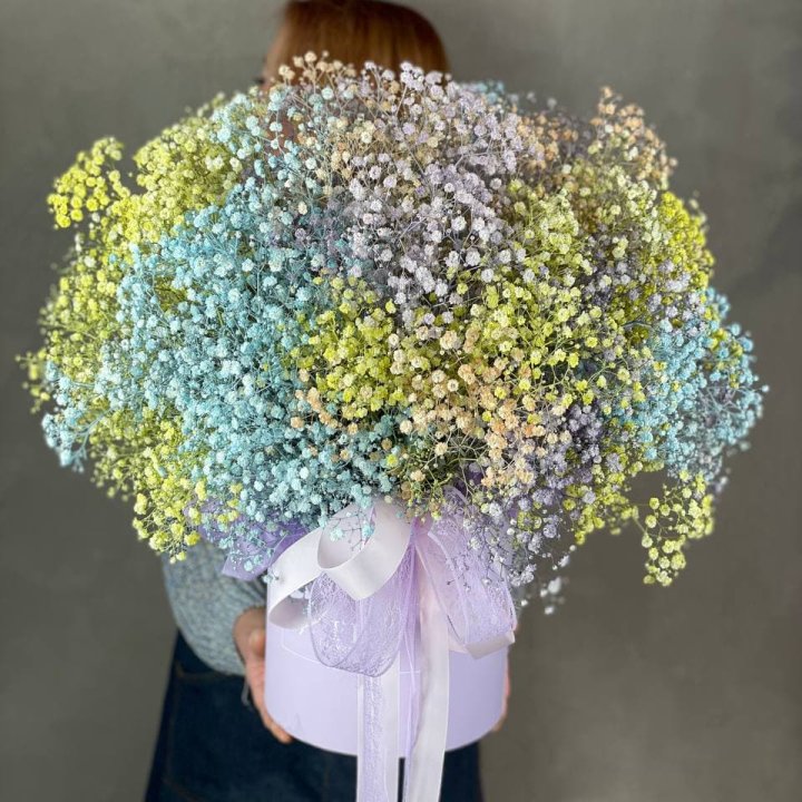 Бокс из гипсафил в Великом Новгороде