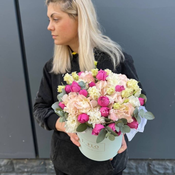 Сборный бокс премьер в Великом Новгороде