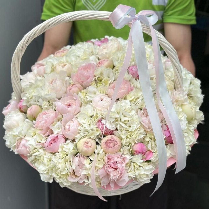 Премиум корзина гортензий и пионов в Великом Новгороде