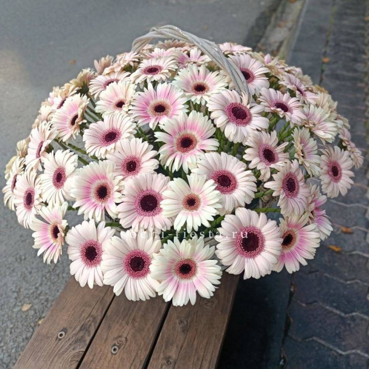 Корзина с герберами  в Великом Новгороде