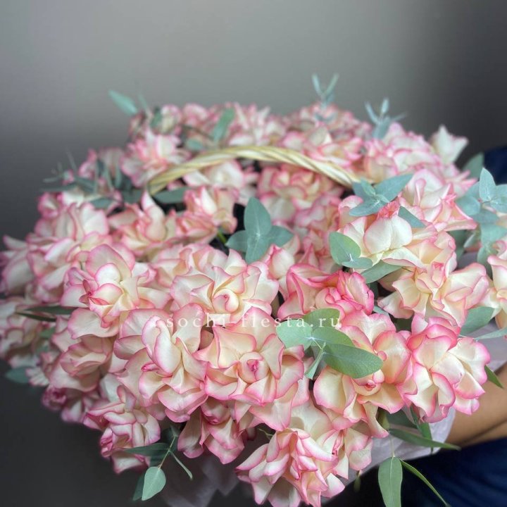 51 джумилия  в корзине   в Великом Новгороде