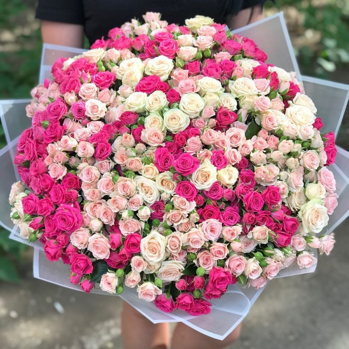 101 кустовая роза в Великом Новгороде