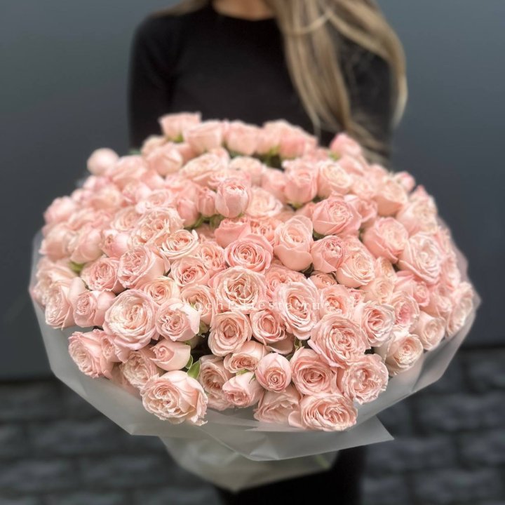 51 кустовая роза Бомбастик в Великом Новгороде