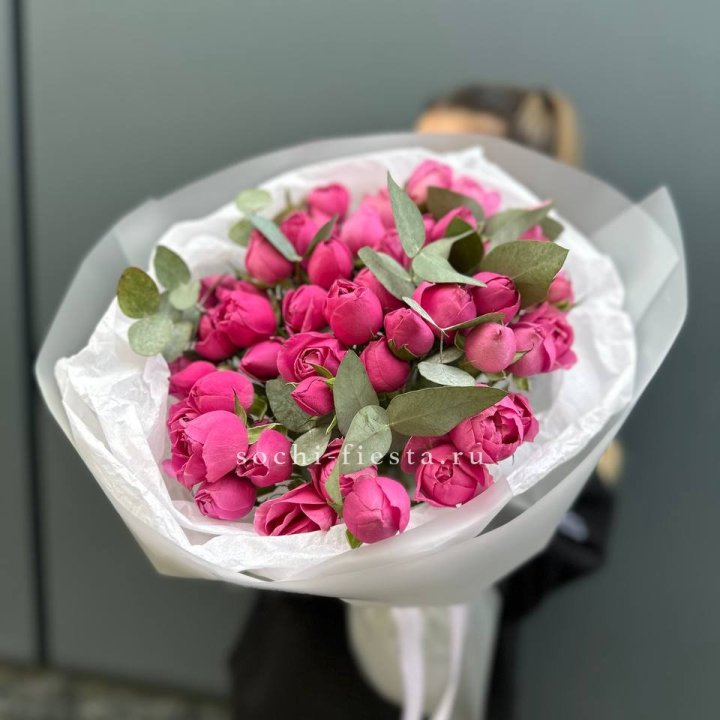 17 Мисти бабблс в Великом Новгороде