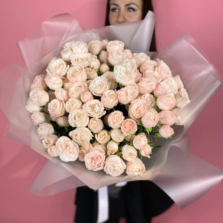 Carina в Великом Новгороде