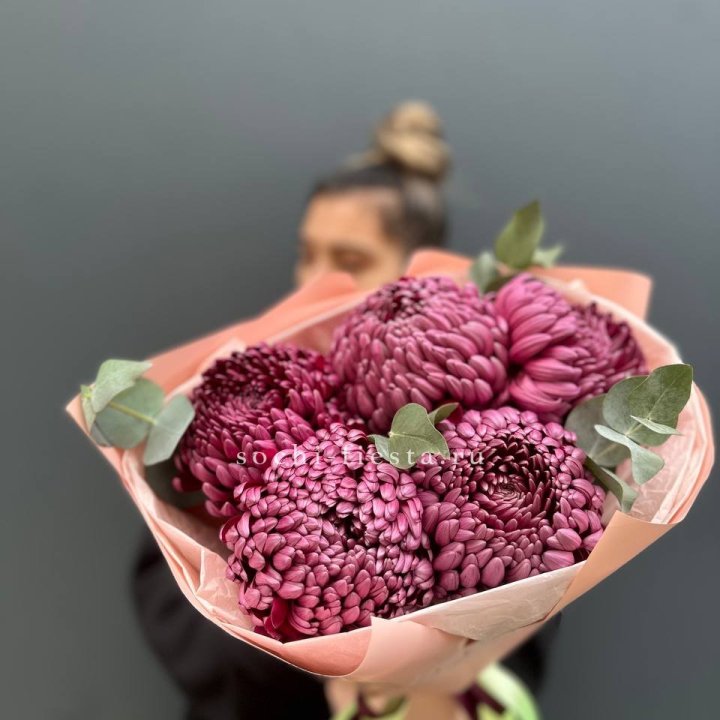 Хризантемы  Бигуди  в Великом Новгороде