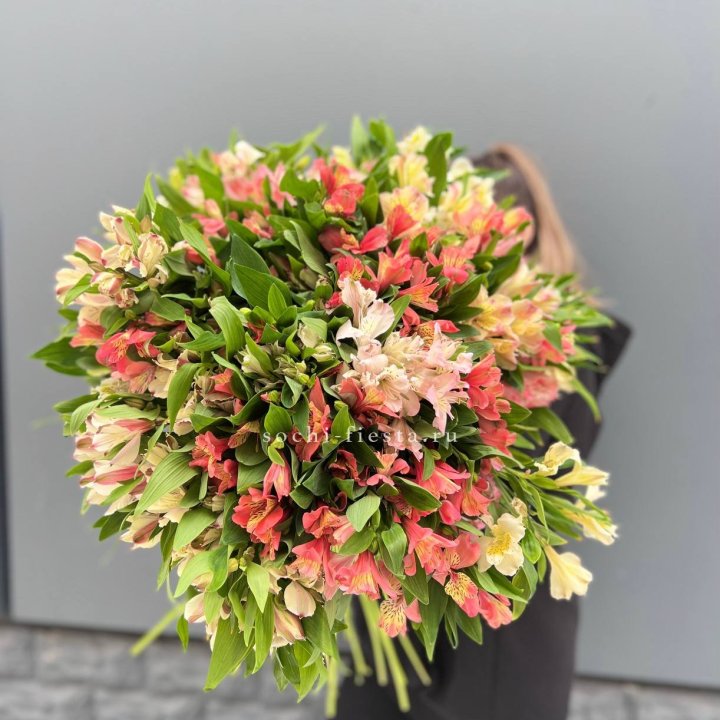 51 альстромерия в Великом Новгороде