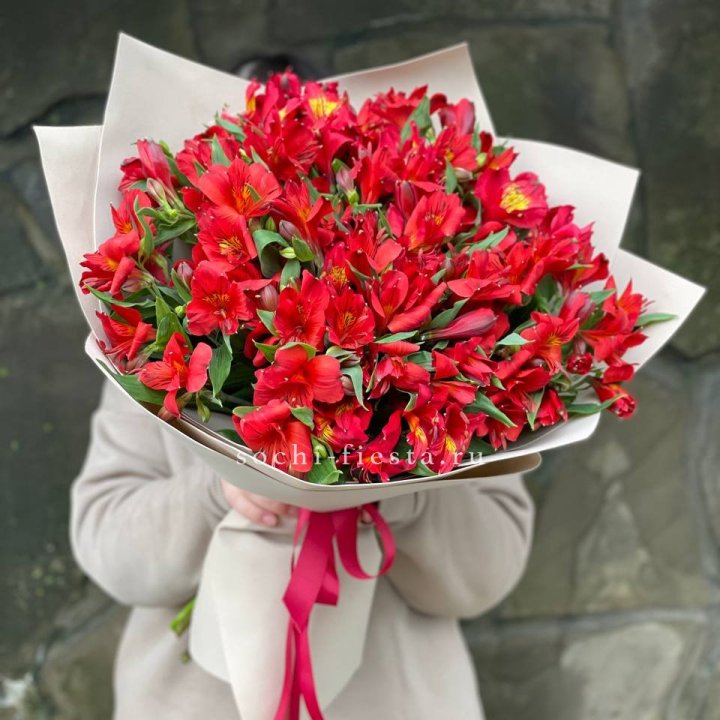 51 альстромерия в Великом Новгороде