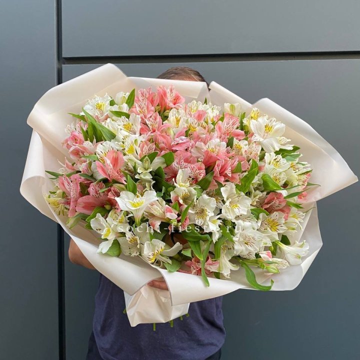 39 альстромерий в Великом Новгороде