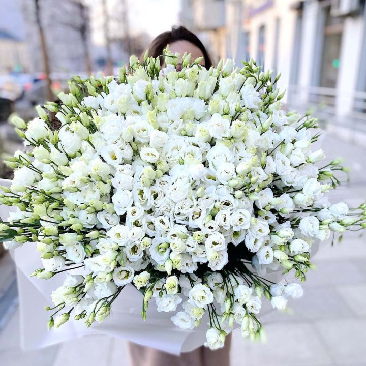 101 белая эустома в Великом Новгороде