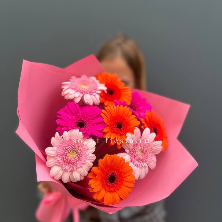 Краски в Великом Новгороде