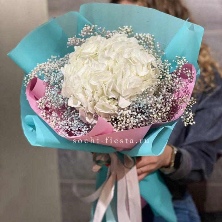 Гортензия "Райдов" в Великом Новгороде