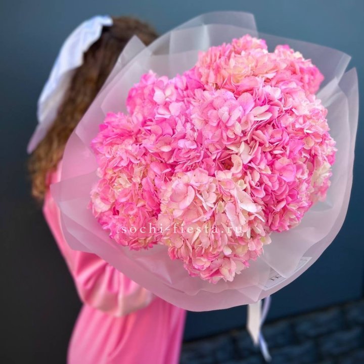 7 ярко розовых гортензий в Великом Новгороде