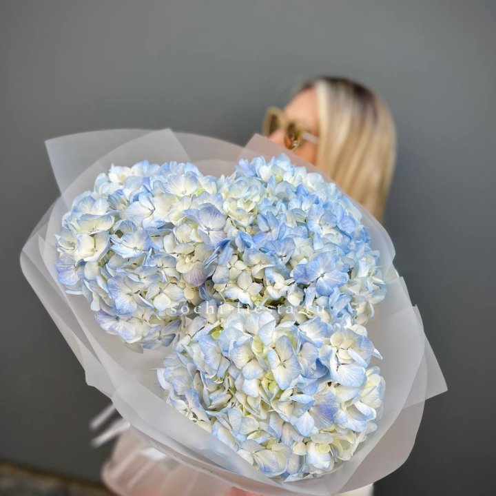 Букет из 3 голубых гортензий  в Великом Новгороде