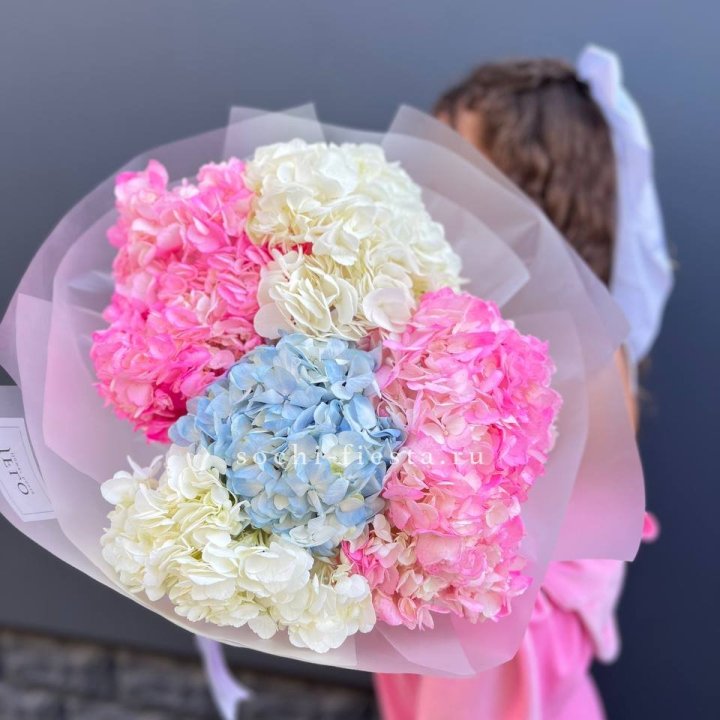 7 гортензий микс в Великом Новгороде