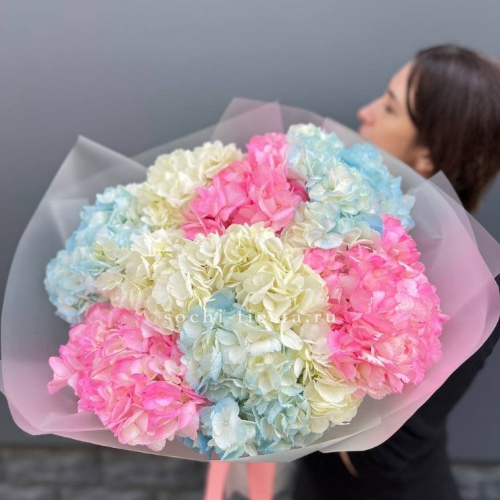 9 гортензий микс в Великом Новгороде