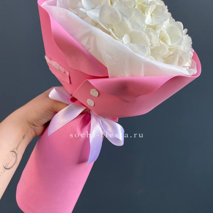 Гортензия в розовом пиджаке в Великом Новгороде