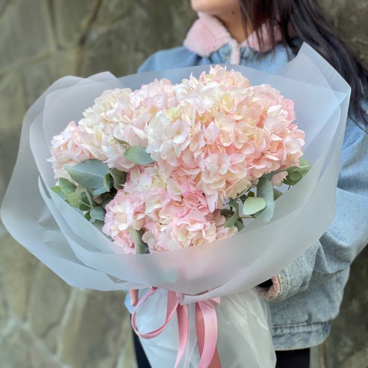 5 розовых гортензий в Великом Новгороде