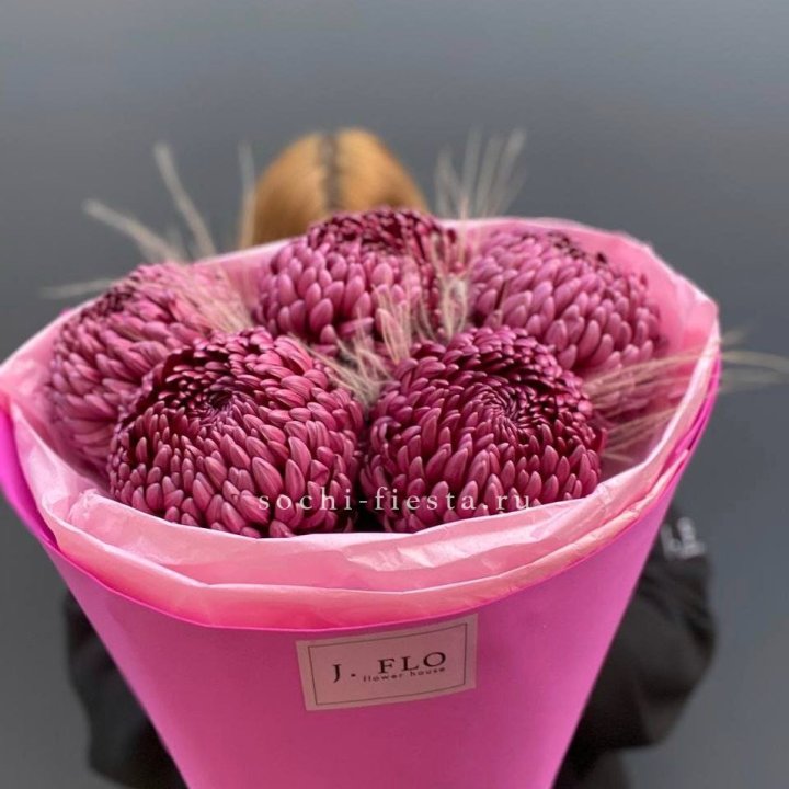 Хризантемы  Бигуди с стифой в Великом Новгороде