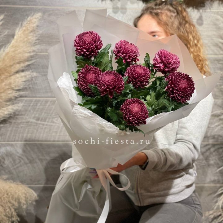 Хризантемы Бигуди в Великом Новгороде