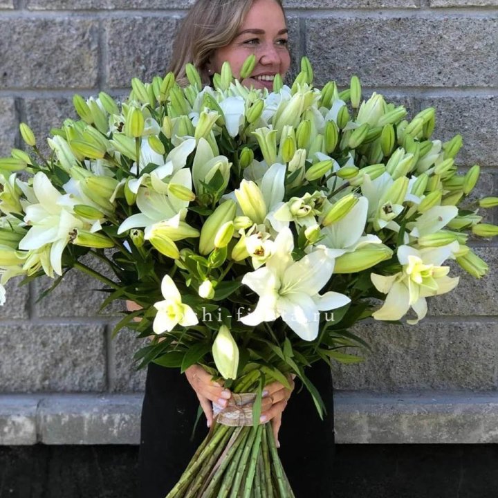 51 лилия в Великом Новгороде