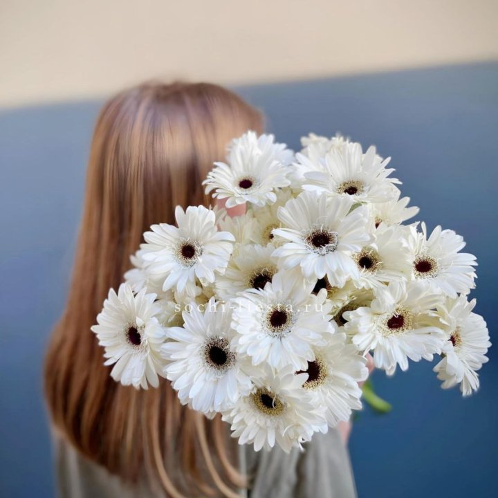 Охапка гербер в Великом Новгороде