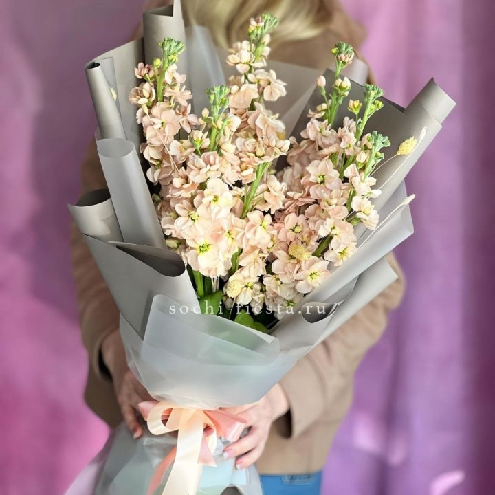 Букет ароматной маттиоллы №2 в Великом Новгороде