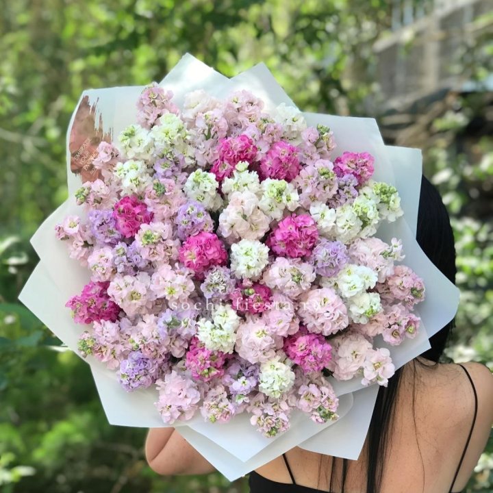 Букет ароматной маттиоллы №3 в Великом Новгороде