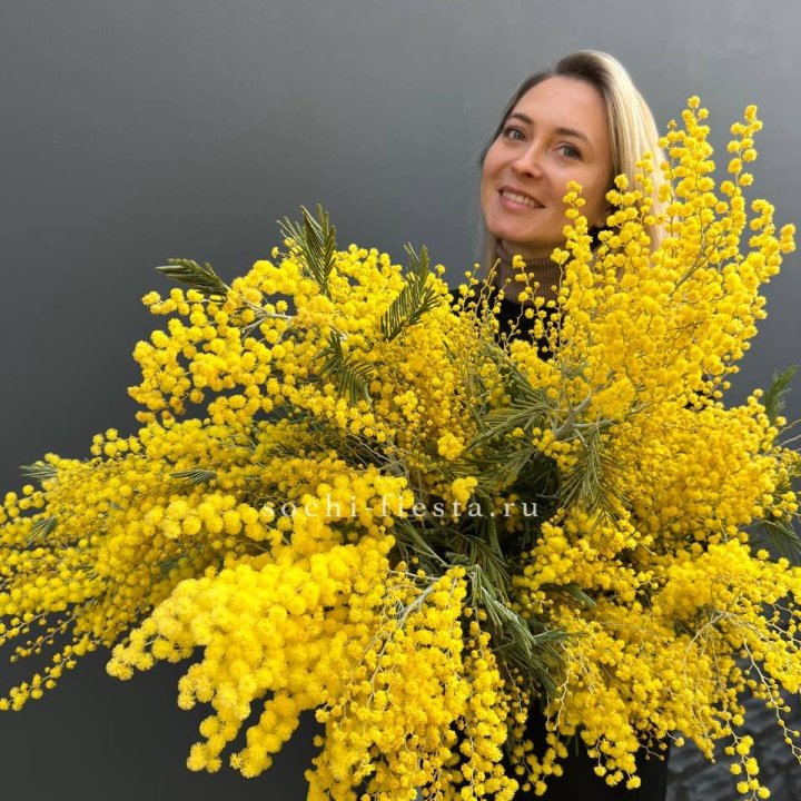 Охапка мимозы №2 в Великом Новгороде