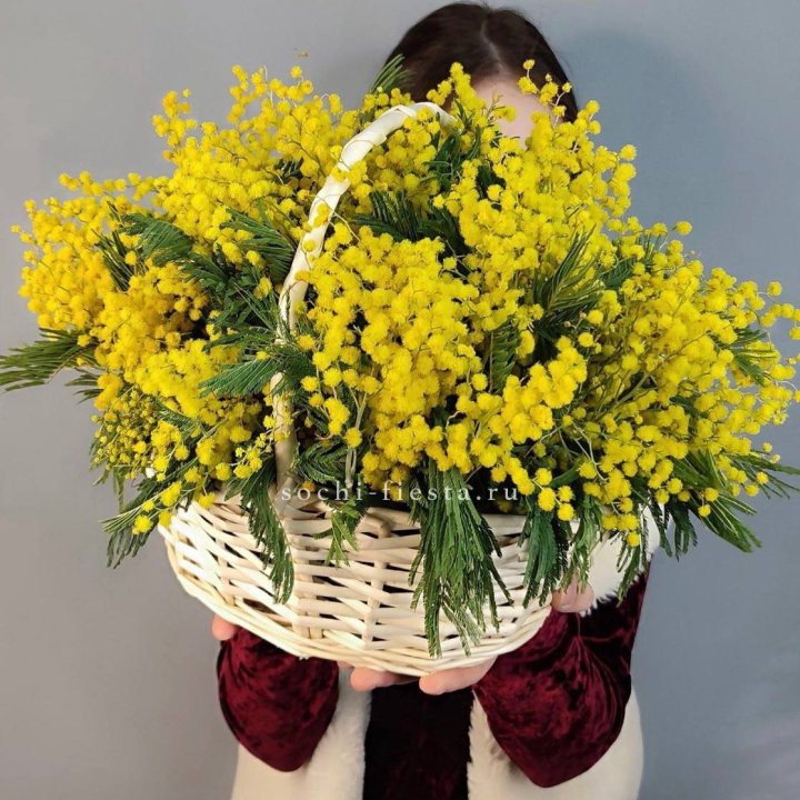 Корзина ароматной мимозы в Великом Новгороде