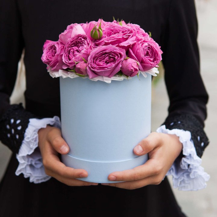 Бокс мини мисти в Великом Новгороде