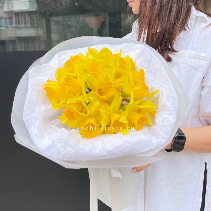 Нарциссы 25 шт в Великом Новгороде